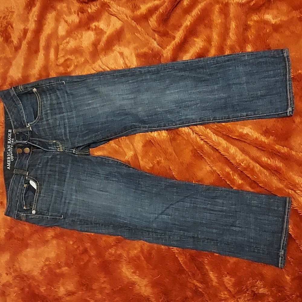 American Eagle Artist Crop Jeans